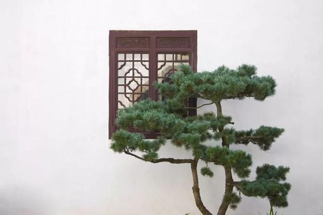 驚艷世界的中式庭院，美哭了！